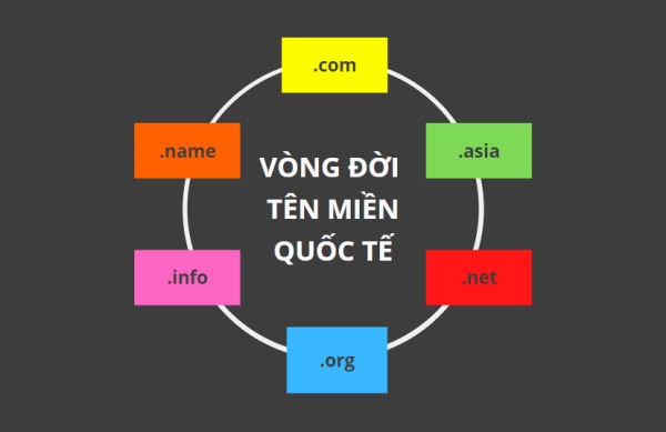 Vòng đời của Tên miền Quốc tế