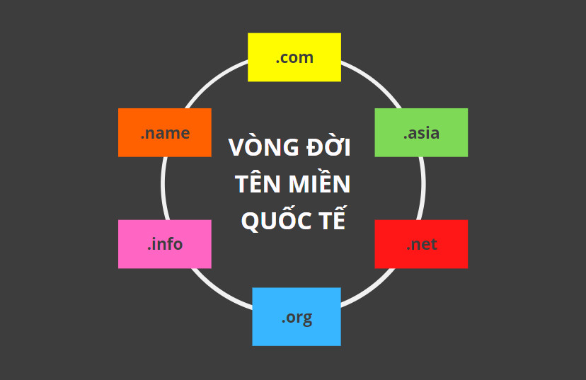 Vòng đời của Tên miền Quốc tế